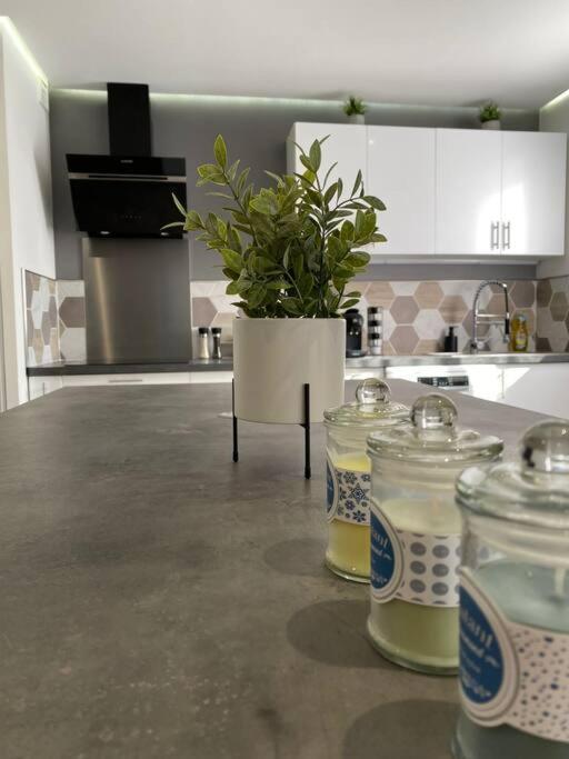 T2 - Secteur Pech David - Wifi - Climatisation Apartman Toulouse Kültér fotó